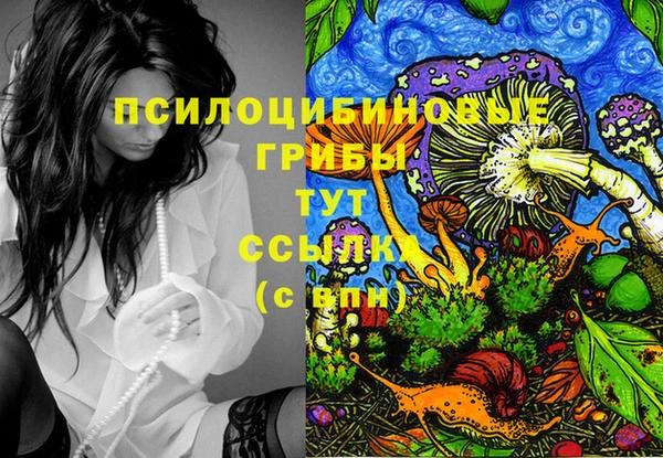 метамфетамин Богородицк